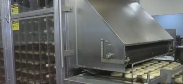 دونات صنع المعدات ، آلة دونات الصناعية للخبز / الخميرة دونات المزود